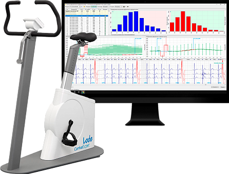 Программное обеспечение РЕКОРД